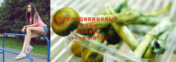 PSILOCYBIN Абаза