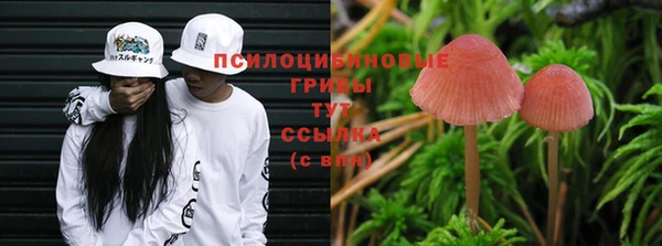 прущая мука Абинск