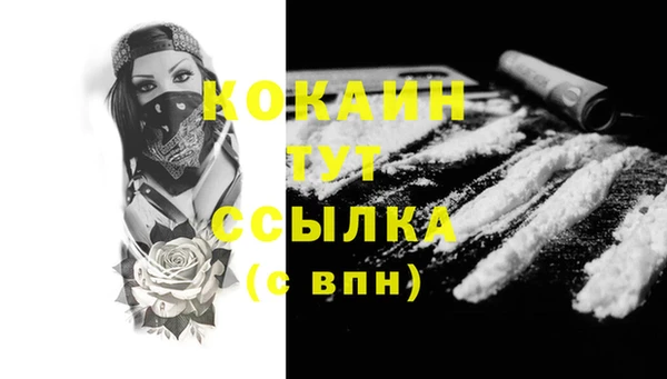 PSILOCYBIN Абаза