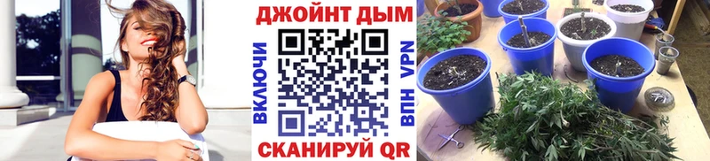 Бошки Шишки индика  Луза 